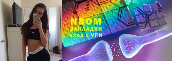 индика Рославль