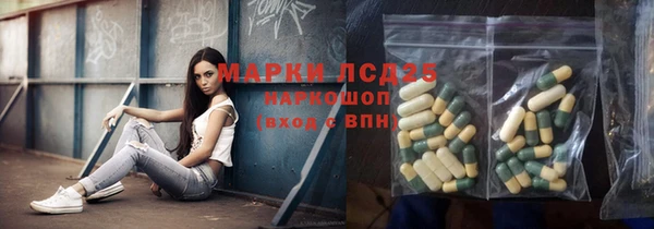 индика Рославль