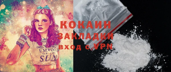 индика Рославль