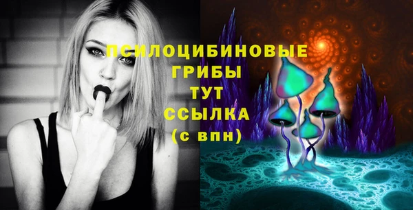 бошки Балахна